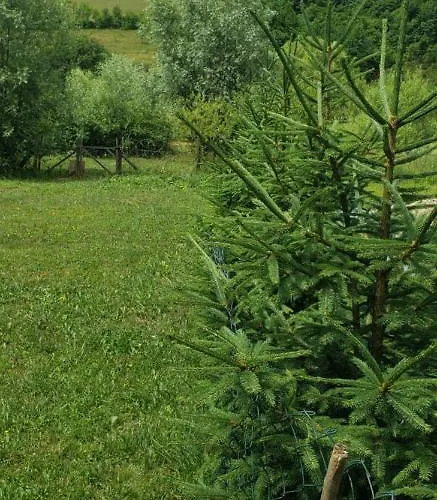 Casa vacanze Vikendica Na Janju